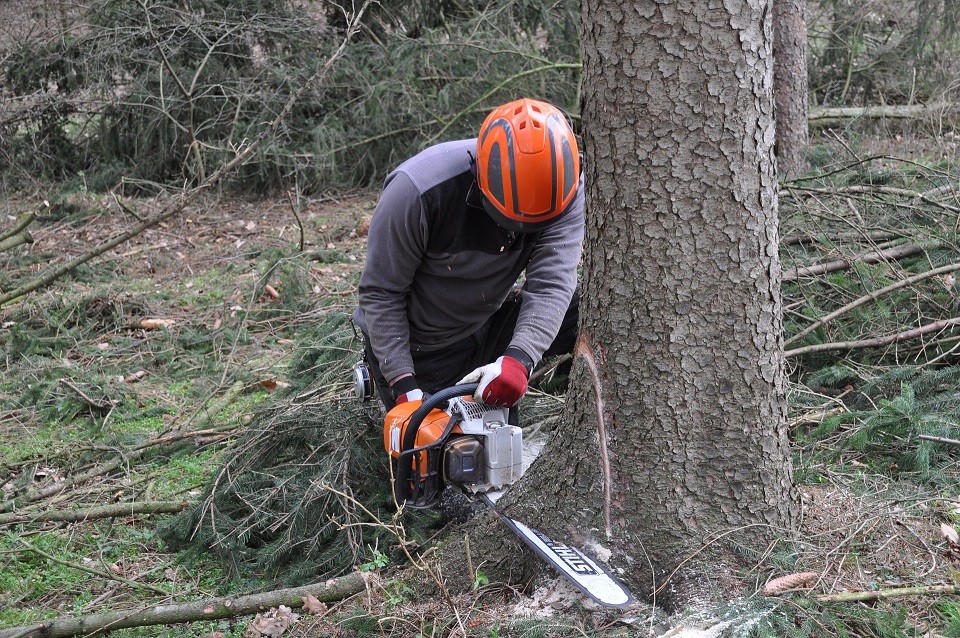 Waldbetreuung Förster_Bezirk_Spittal